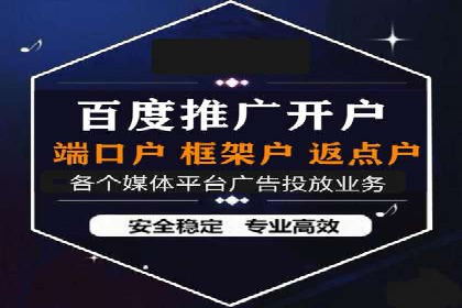 竞价广告与自然搜索的结合策略：XX网站的案例分析